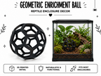 Geometric Enrichment Ball – Snake Exploration Toy