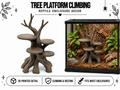 Tree Platform Climbing Hide – Multi-Level