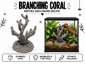 Branching Coral-Style Natural Climbing Accent