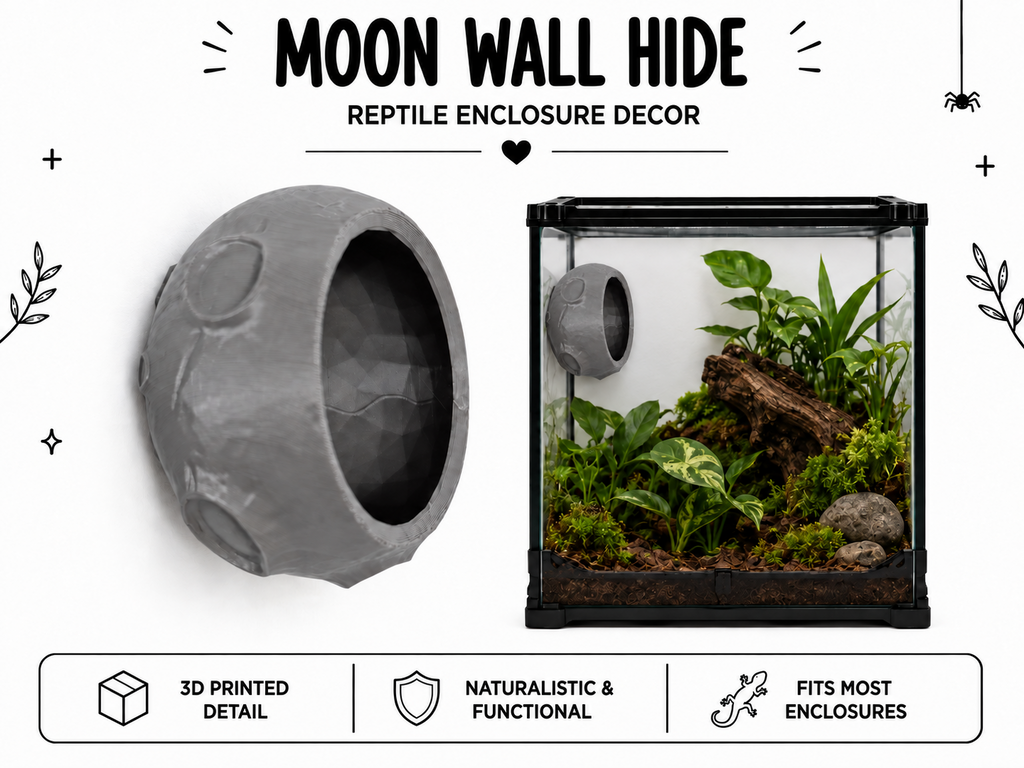 Moon Wall Hide – Arboreal Reptile Enclosure Décor