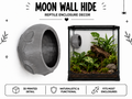 Moon Wall Hide – Arboreal Reptile Enclosure Décor