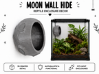 Moon Wall Hide – Arboreal Reptile Enclosure Décor